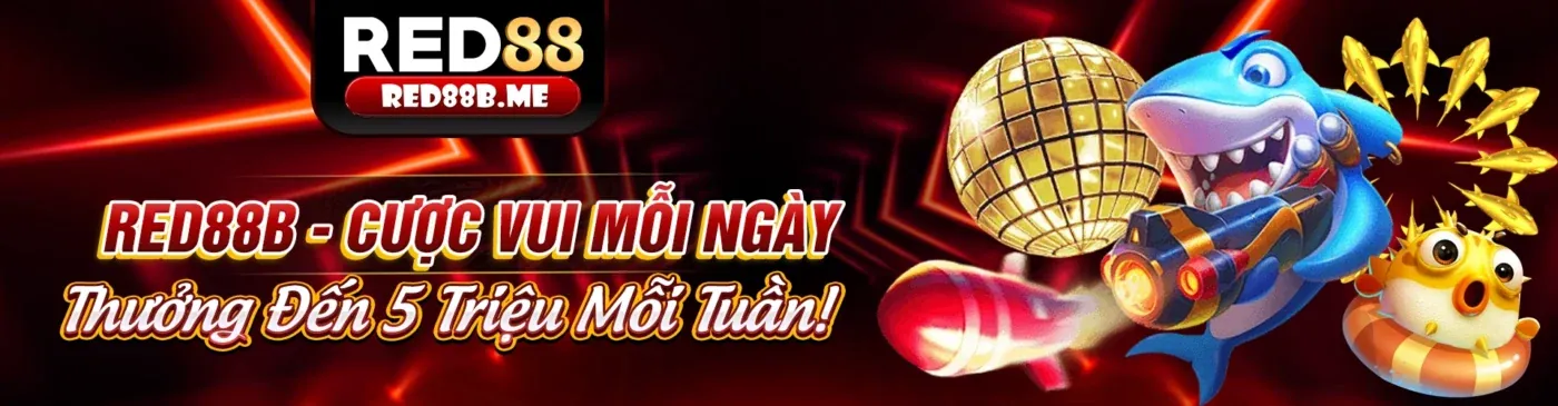Ưu đãi hoàn trả cao tại KuCasino